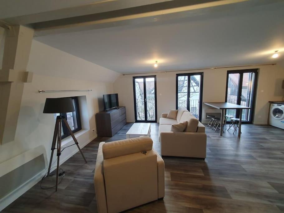 Appartement 2 Pieces Tout Confort, Aux Portes De Colmar Andolsheim Exterior foto