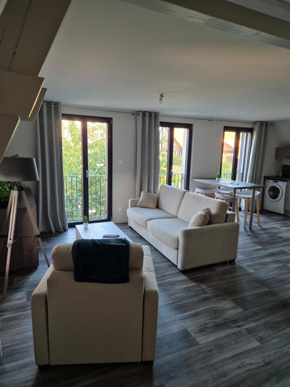 Appartement 2 Pieces Tout Confort, Aux Portes De Colmar Andolsheim Exterior foto